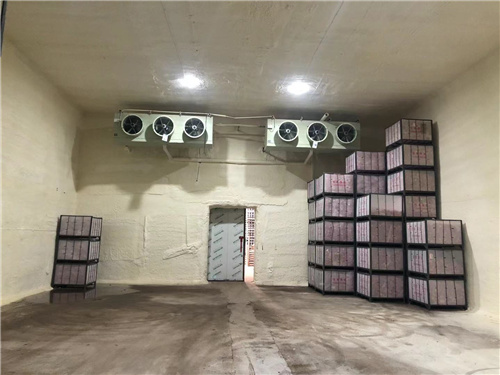 乐玩在线注册苹果冷库安装案例